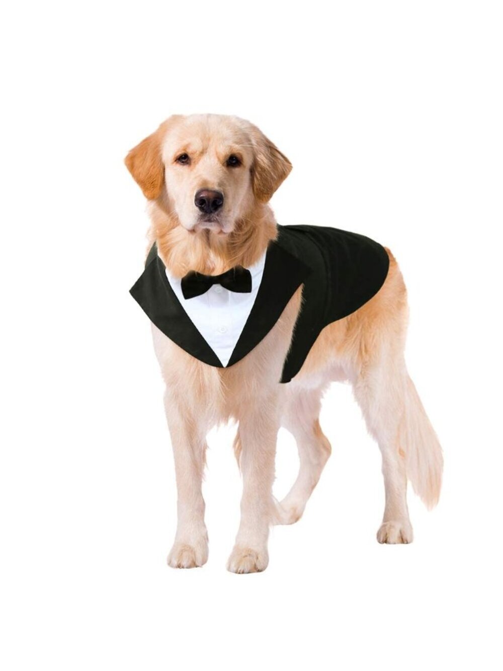 Kuoser "M" Dog Tuxedo Dog Suit Wedding Party Prince Bow Tie Shirt Formal Pet